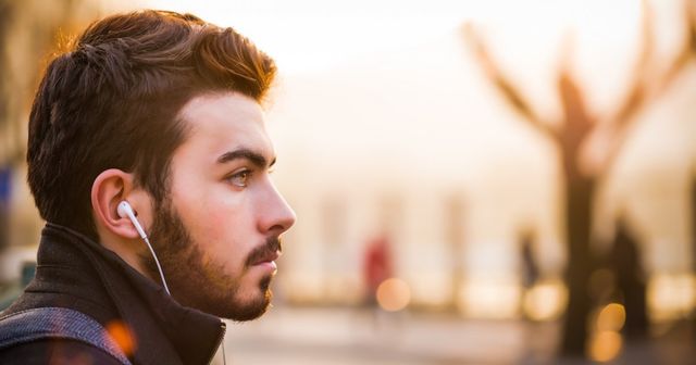 Trademarks and distinctive character: Huawei application nipped in the bud