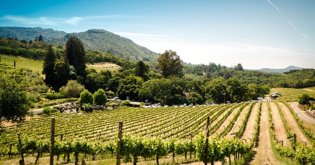 L’adoption d’une Charte d’engagement pour les vins méthode nature