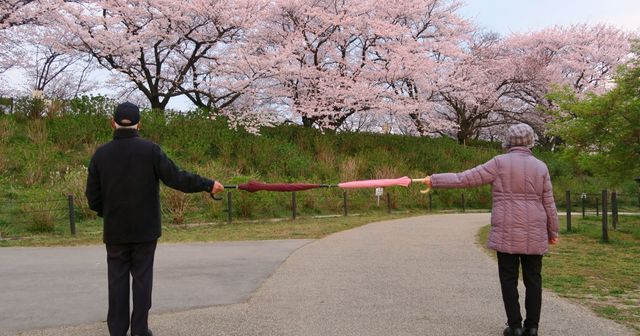 Procédures orales devant les Chambres de Recours et COVID-19 : Des mesures spécifiques ont été prises par l'OEB