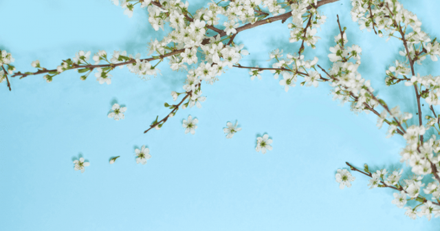 Ontwikkelingen in het merkenrecht