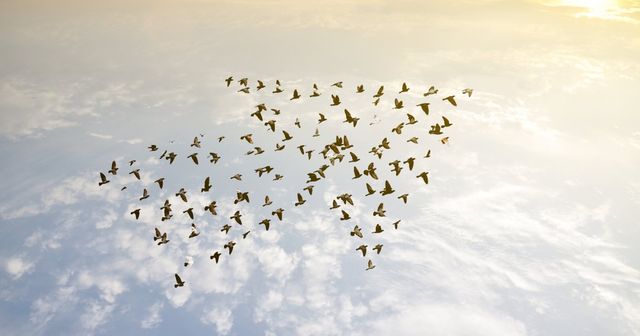 Le modèle international continue son expansion