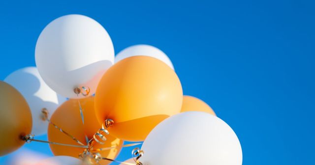 Merkenrecht toen en nu: Theo Visser aan het woord