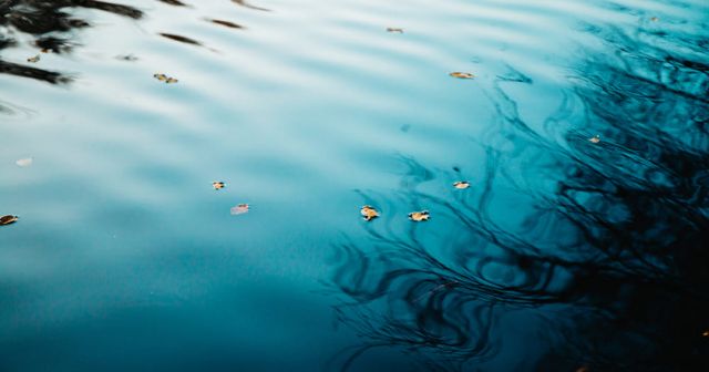 Certificat Complémentaire de Protection (CCP) : définition de la « première » AMM