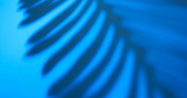 Het Neutraliteitsbeginsel: Hoe naamsbekendheid ook een valkuil kan zijn in het merkenrecht