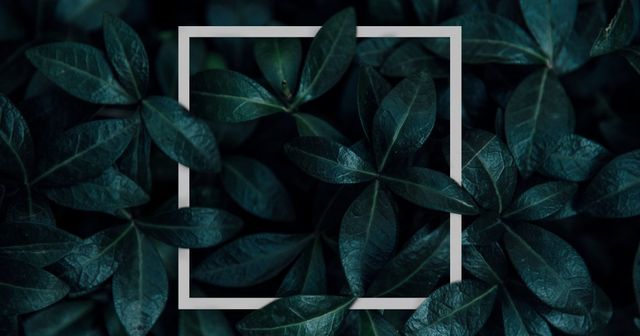 Réseaux sociaux, applications, … quelles procédures de réclamation contre l’usage de sa marque sur Internet ?