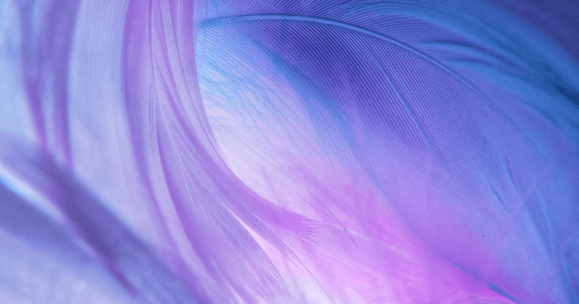 De grenzen van portretrecht in de digitale reclamewereld