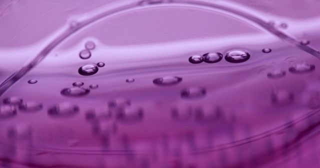 De Erven Prince weer in actie