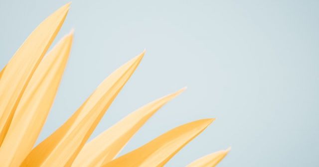 Inbreuk op IE rechten op online marktplaatsen; een hardnekkig fenomeen