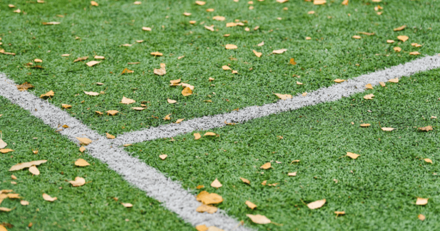 Terugblik: Een drukke sportzomer voor het merkenrecht