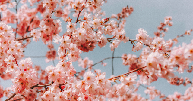 Tracking the impact of COVID-19 on IP professionals