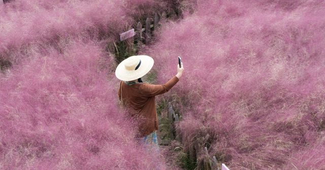 Une année record pour les plaintes UDRP en 2023