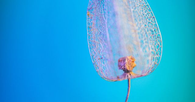 IP and R&D: Should you search before research?