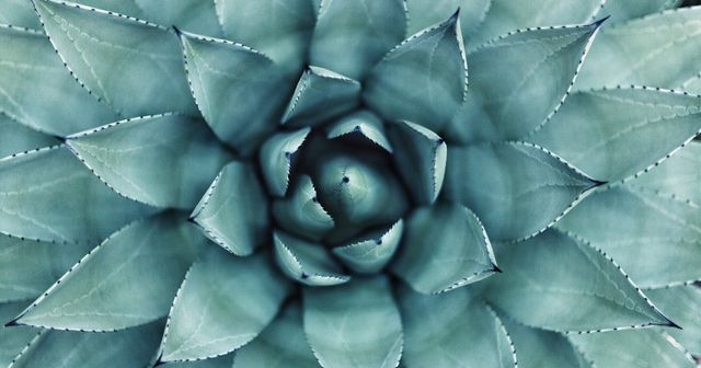 Créer une startup dans le secteur des FemTech : quelle stratégie PI ?