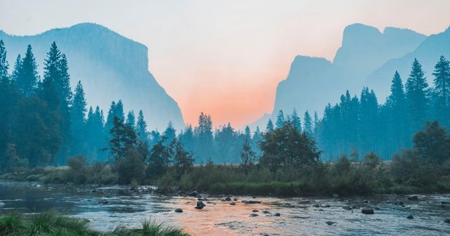 EUTMs and the benefits of a seniority claim