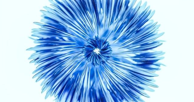 Smart IP : comment gérer efficacement votre portefeuille de PI