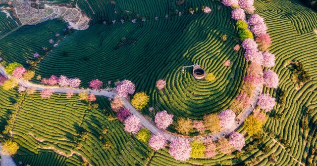 La Chine fait évoluer sa pratique en matière de brevets