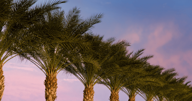 Meghan Markle in de problemen