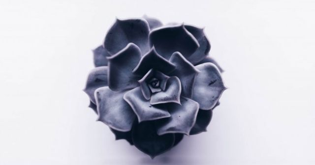 Modelrecht doorboord