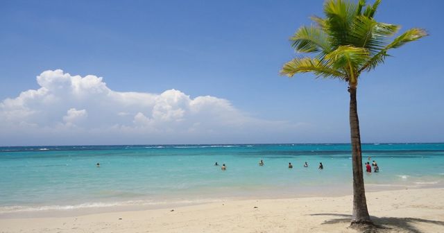 La Jamaïque adhère aux systèmes internationaux de protection des marques et des dessins et modèles.