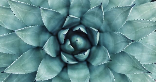 Conscious acquiescence: The dangers of ignoring trademark infringement