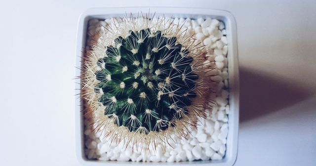 [Guide] FAQ sur le brevet unitaire