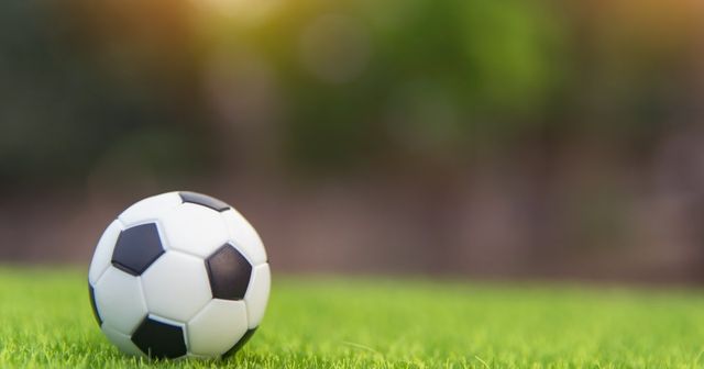 Sheffield Wednesday FC takes on fan in trademark dispute