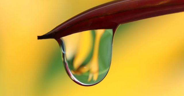 T 1762/21 and intermediate generalisation before the European Patent Office