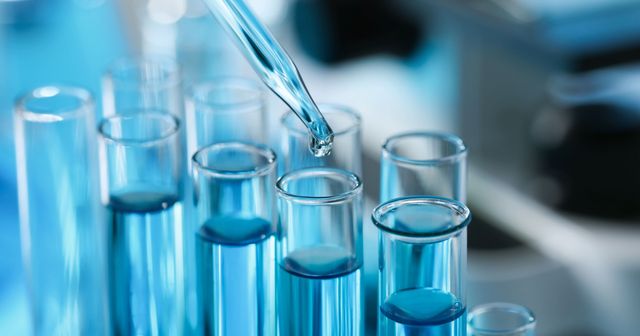 L'OEB annule une demande de brevet sur des chimères cochon-humain, pour des raisons éthiques