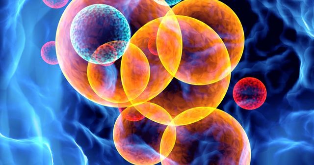 Need to know: COVID-19 and IP office continuity