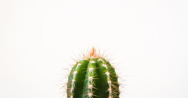 Public policy and offensive trademarks