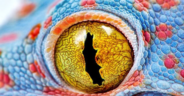 Du bon usage du droit de priorité pour protéger son invention