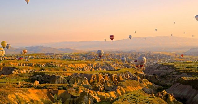 Trademarks and the obligation of use