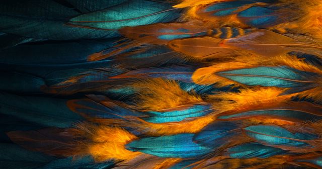 Wie is de echte Boss? De strijd tussen Boss Pets en Hugo Bos