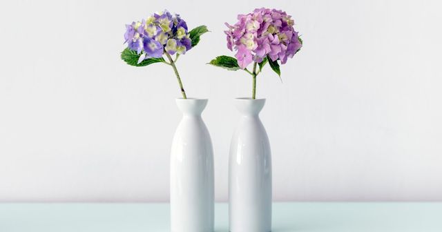 Zoek de verschillen: het totaalindrukkencriterium in het auteursrecht