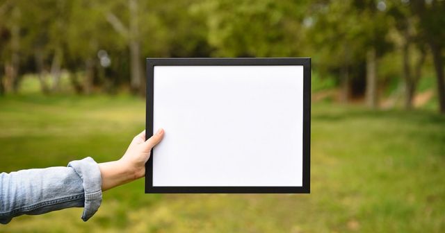 Who owns the IP in a meme?