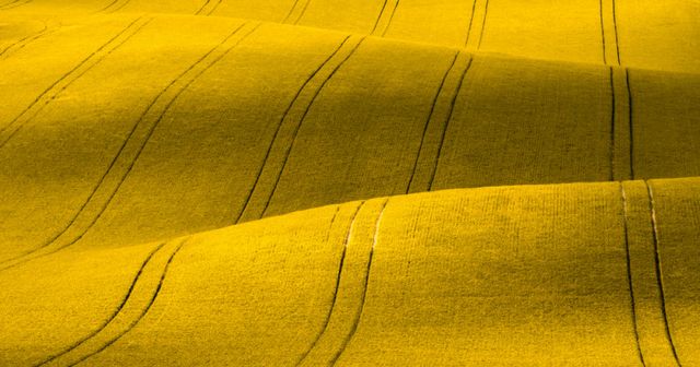 Mandataire un jour, mandataire toujours