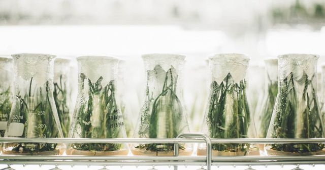 IP in M&A: Planning for success