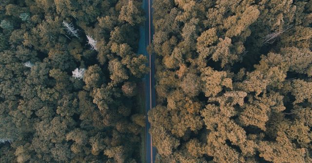 Update from the EPO: Getting your European priorities (even) straighter