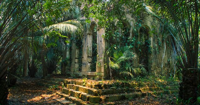 Une décoction n’est pas une divulgation