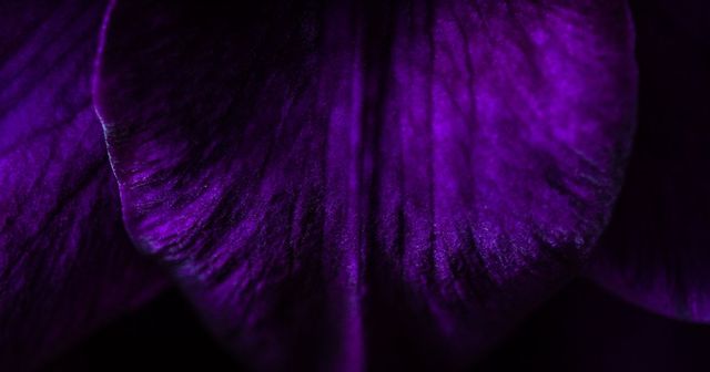 The colour purple: Cadbury drops bid to enforce trademark in the UK