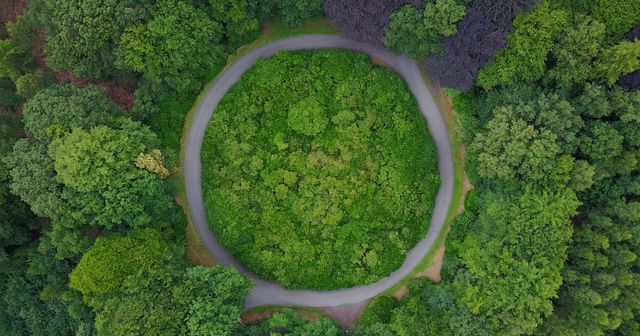 Affaire Eli Lilly contre Fresenius