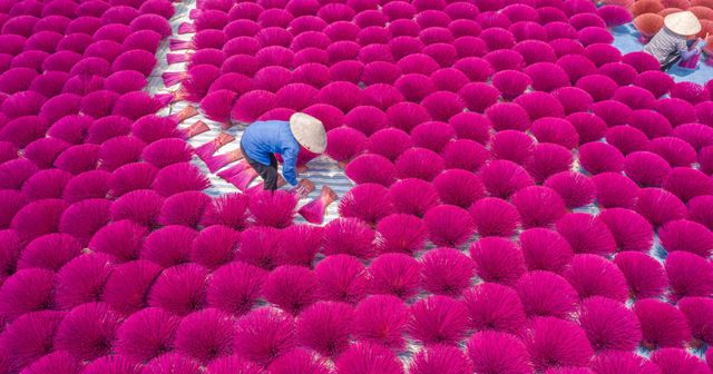 IP rights and innovation: Connecting the dots between inventions and IP