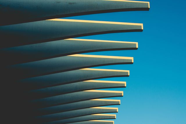 Vooraanstaand merkengemachtigde Helma van de Langenberg aangekondigd als Managing Director van Novagraaf Nederland